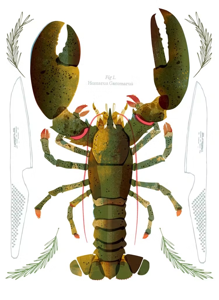 Food illustration — Studio Garcia Amsterdam